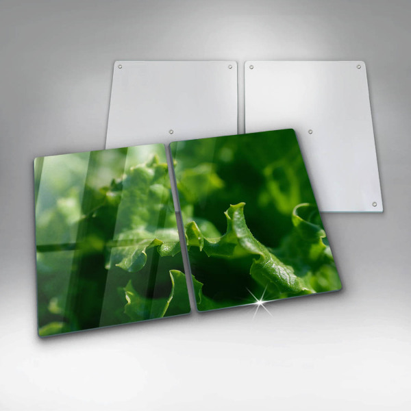 Skyddsplatta för spis Salladsblad