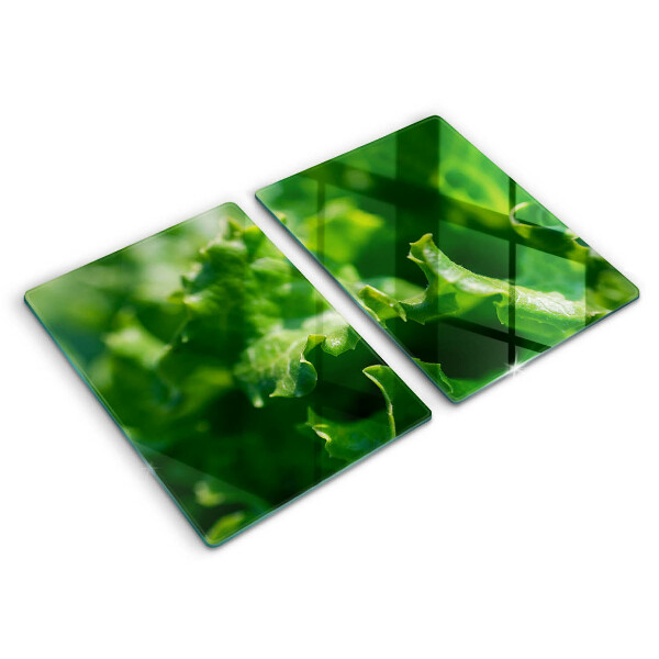 Skyddsplatta för spis Salladsblad