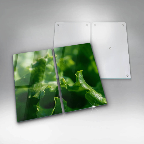 Skyddsplatta för spis Salladsblad