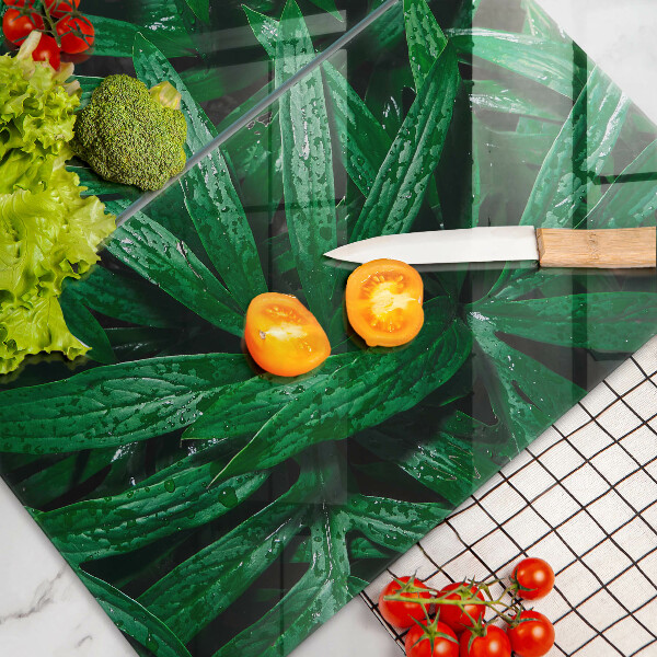 Skydd för spis Växter löv