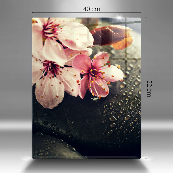 Skydd för induktionsspis modern Blommor zen stenar