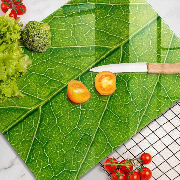 Glashällskydd modern Blad vener natur