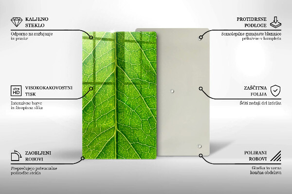 Glashällskydd modern Blad vener natur
