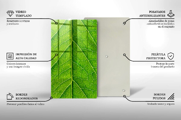Glashällskydd modern Blad vener natur