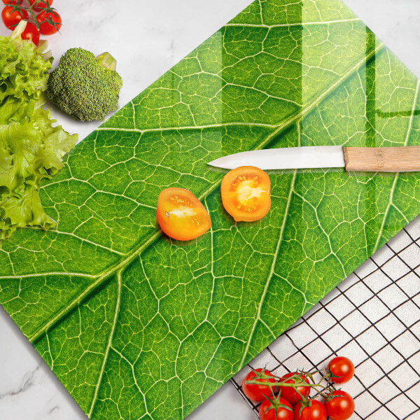 Glashällskydd modern Blad vener natur