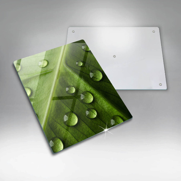 Spisskyddsplatta modern Natur dagg och löv