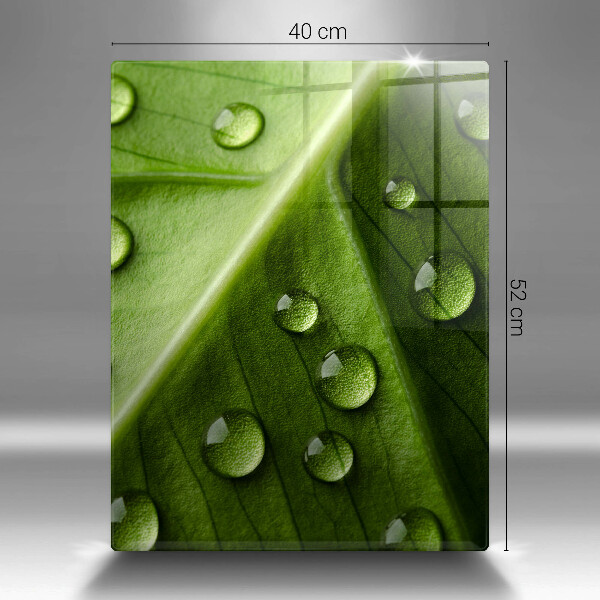 Spisskyddsplatta modern Natur dagg och löv