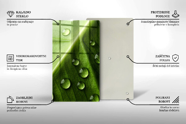 Spisskyddsplatta modern Natur dagg och löv