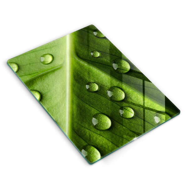 Spisskyddsplatta modern Natur dagg och löv