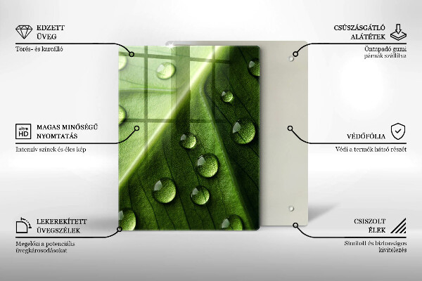 Spisskyddsplatta modern Natur dagg och löv