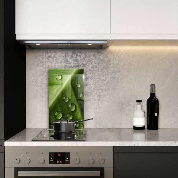 Spisskyddsplatta modern Natur dagg och löv