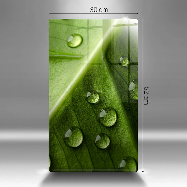 Spisskyddsplatta modern Natur dagg och löv