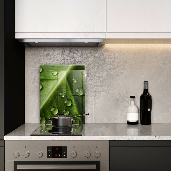 Spisskyddsplatta modern Natur dagg och löv