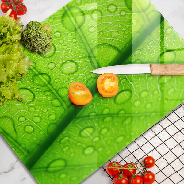 Skydd för induktionsspis modern Närbild av ett löv