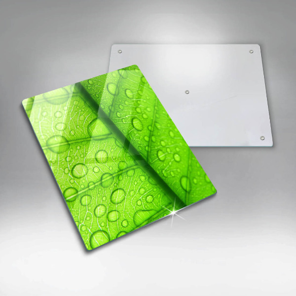 Skydd för induktionsspis modern Närbild av ett löv