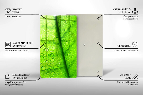 Skydd för induktionsspis modern Närbild av ett löv