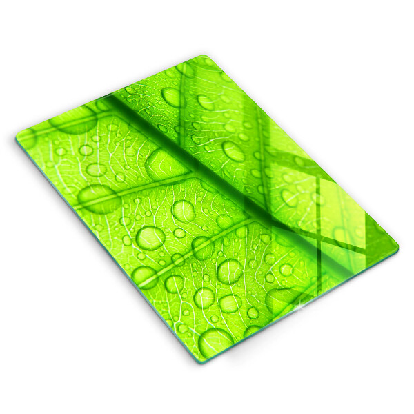 Skydd för induktionsspis modern Närbild av ett löv