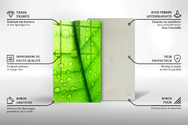 Skydd för induktionsspis modern Närbild av ett löv