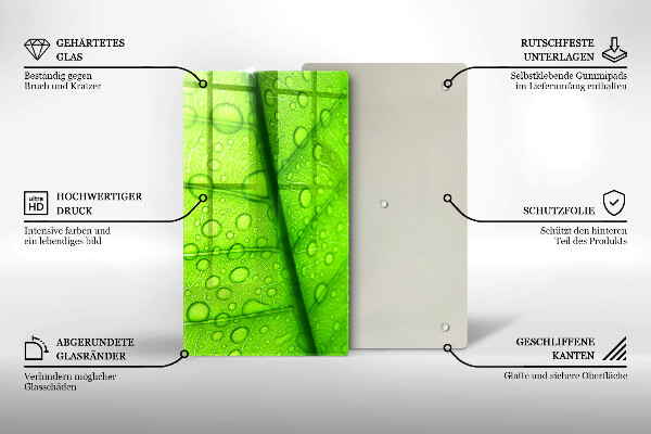 Skydd för induktionsspis modern Närbild av ett löv