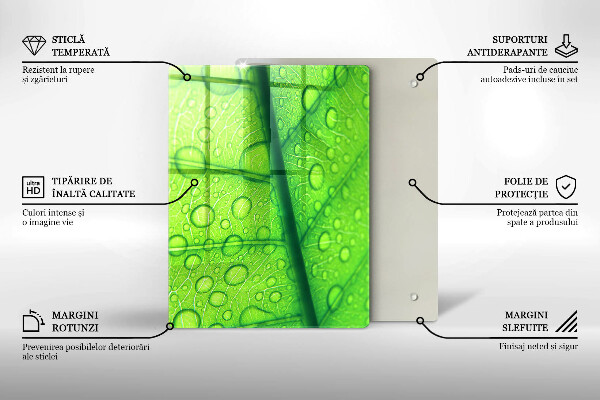 Skydd för induktionsspis modern Närbild av ett löv