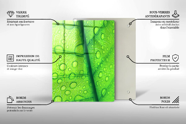 Skydd för induktionsspis modern Närbild av ett löv