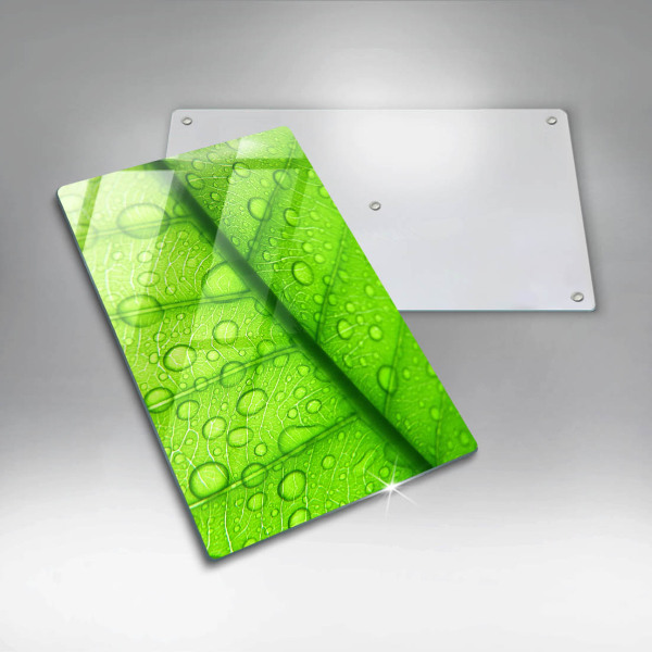 Skydd för induktionsspis modern Närbild av ett löv