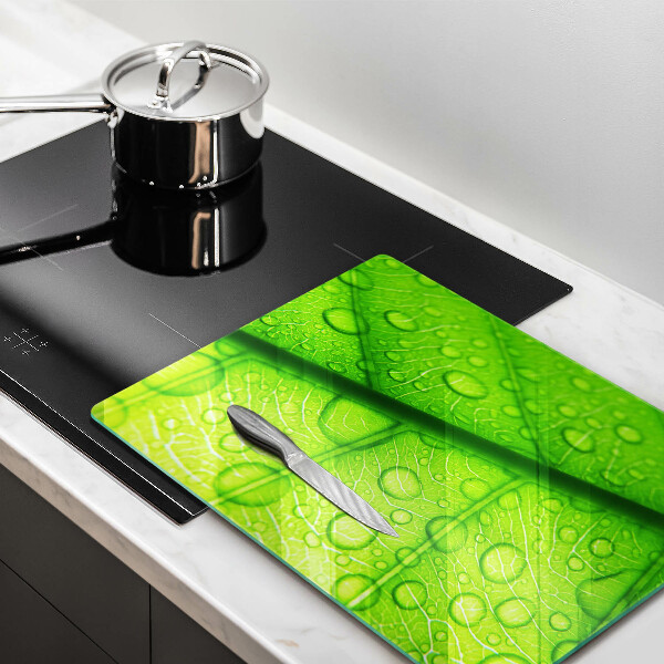 Skydd för induktionsspis modern Närbild av ett löv