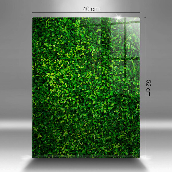 Glashällskydd modern Plantera små blad