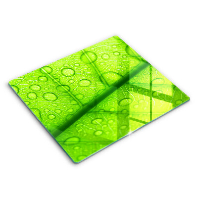 Skydd för spis unik Närbild av ett löv