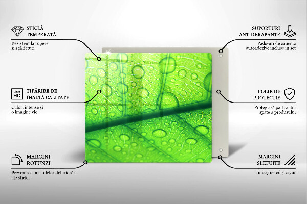 Skydd för spis unik Närbild av ett löv