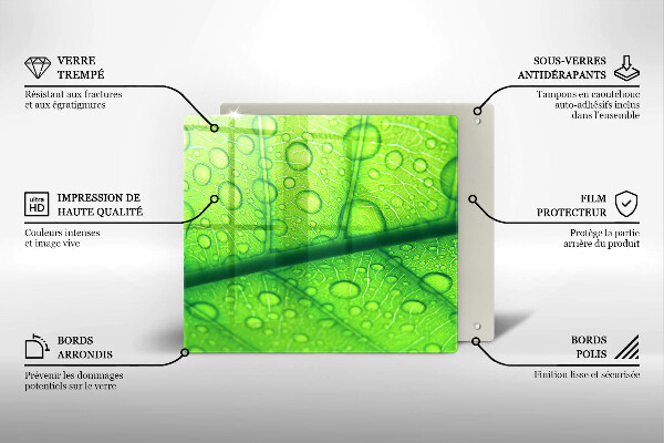 Skydd för spis unik Närbild av ett löv