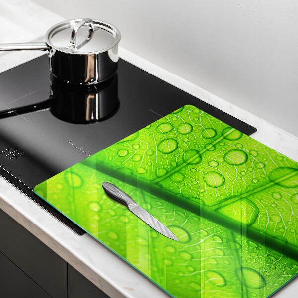 Skydd för spis unik Närbild av ett löv