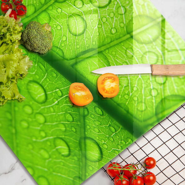 Skydd för spis unik Närbild av ett löv