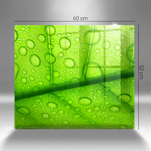 Skydd för spis unik Närbild av ett löv