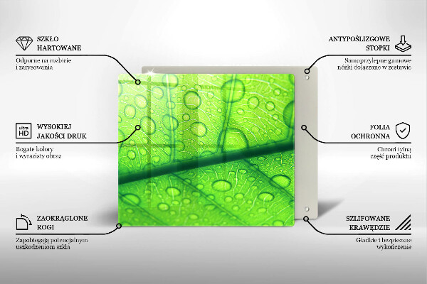 Skydd för spis unik Närbild av ett löv