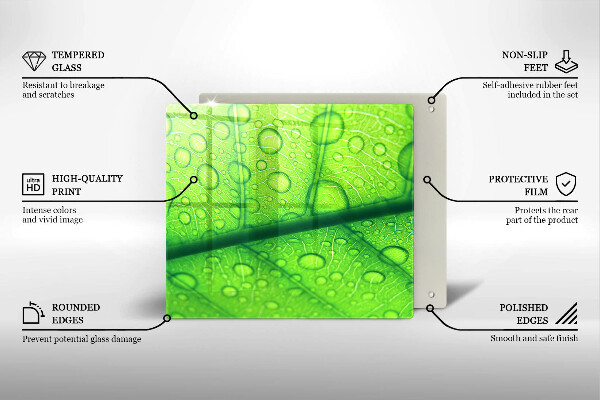 Skydd för spis unik Närbild av ett löv