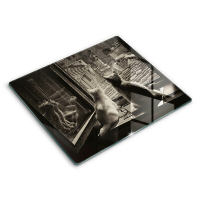 Spisskyddsplatta unik Katter stad och fönster