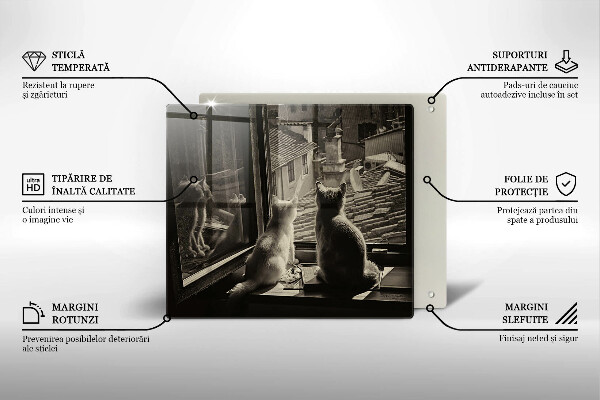 Spisskyddsplatta unik Katter stad och fönster