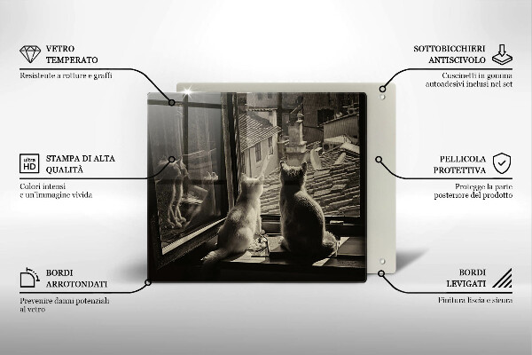 Spisskyddsplatta unik Katter stad och fönster
