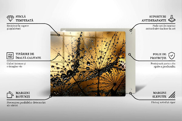 Spisskyddsplatta unik Dagg och maskrosor