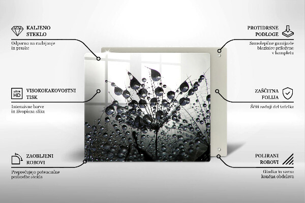 Spisskyddsplatta unik Maskrosor och dagg