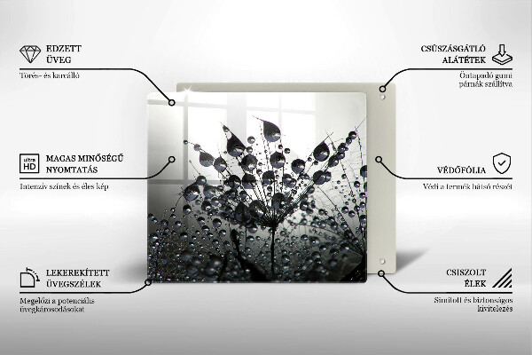 Spisskyddsplatta unik Maskrosor och dagg