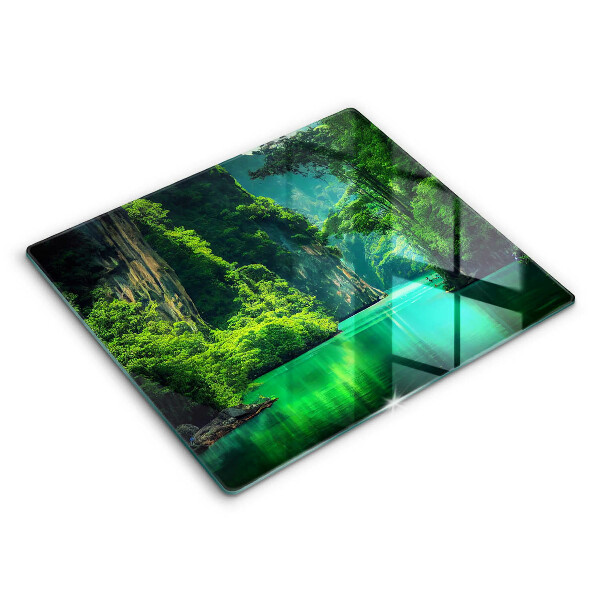 Skydd för induktionsspis unik Lagun landskap