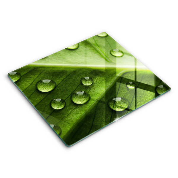 Spisskyddsplatta unik Natur dagg och löv