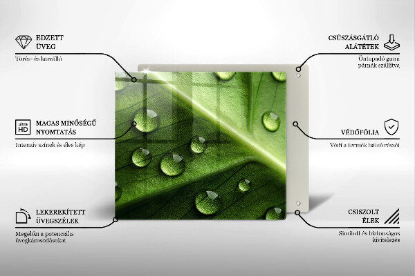 Spisskyddsplatta unik Natur dagg och löv