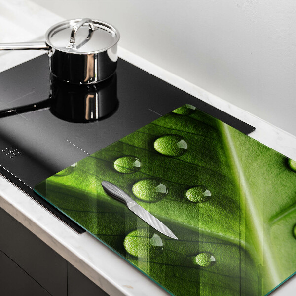 Spisskyddsplatta unik Natur dagg och löv