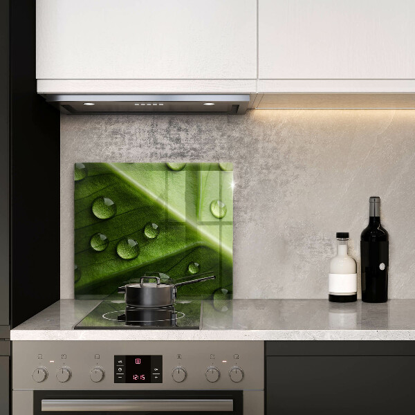 Spisskyddsplatta unik Natur dagg och löv