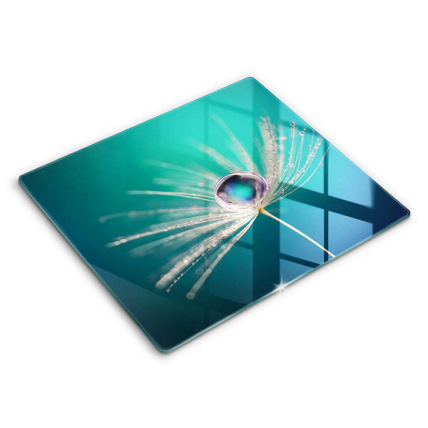 Skydd för induktionsspis unik Dagg på en maskros