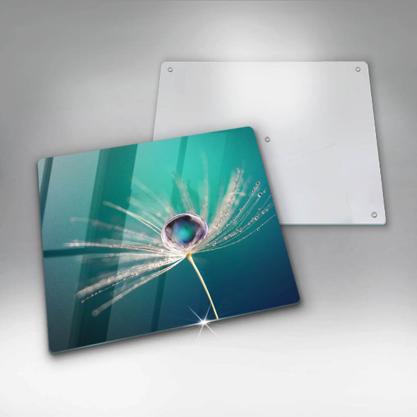 Skydd för induktionsspis unik Dagg på en maskros