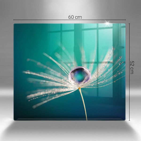 Skydd för induktionsspis unik Dagg på en maskros